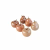 Deco Perly Appel Peer H15cm
