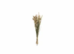 Decoratietak Bundel gedroogde pluimen  75cm
