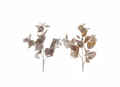 Decoratietak Eucalyptus H86cm