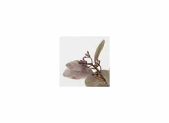 Decoratietak Eucalyptus H86cm