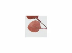 Decoratietak Eucalyptus H91cm