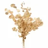 Decoratietak Eucalyptus H60cm