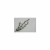 Decoratietak Hang H75cm