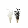 Decoratietak Hazenstaart 70cm - gedroogde materie - wit/zwart