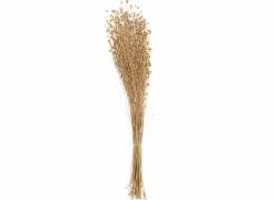 Decoratietak H50cm