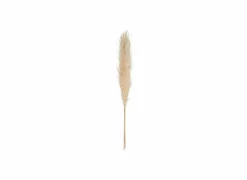 Decoratietak Pampa H110cm