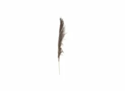 Decoratietak Pampa H110cm