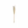 Decoratietak Pampa H65cm