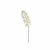 Decoratietak Phalaenopsis H71cm