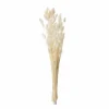 Droogbloemen Pluim  H73cm - kunststof - ecru