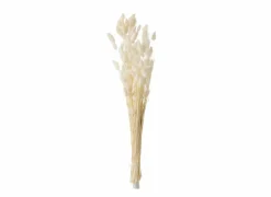 Droogbloemen Pluim  H73cm - kunststof - ecru