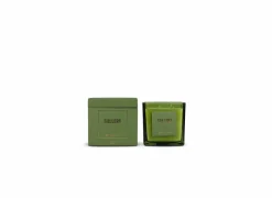 Geurkaars Gallery Forest H11cm groen
