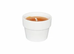Kaars in witte terracotta pot H10cm indian summer