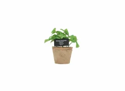 Kunstplant Basilicum H18,5cm