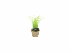 Kunstplant Bieslook H27cm