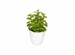 Kunstplant Cactus H18cm
