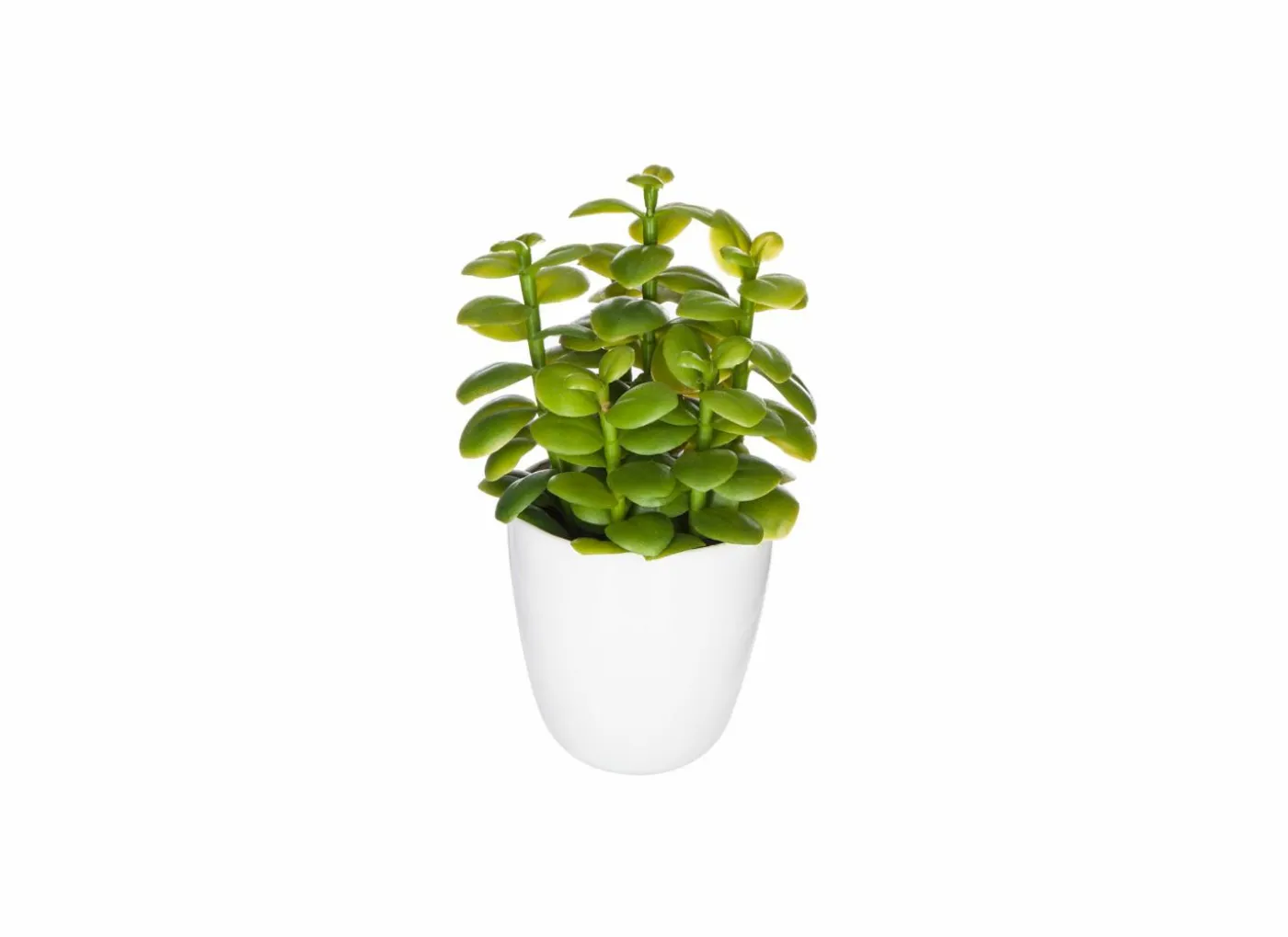 Kunstplant Cactus H18cm