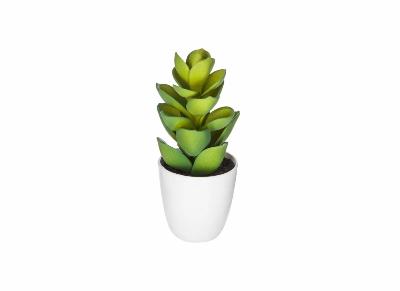 Kunstplant Cactus H18cm
