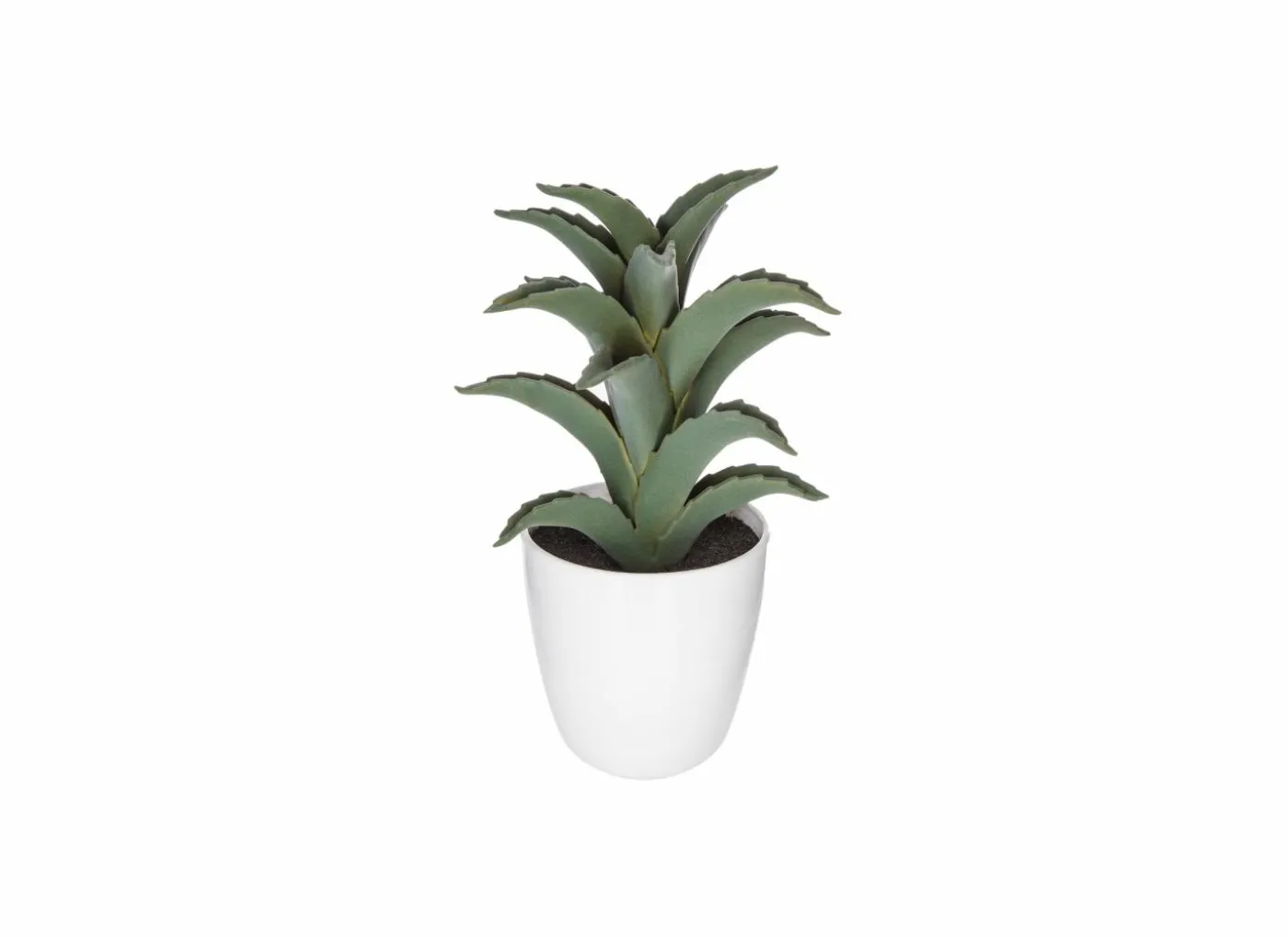 Kunstplant Cactus H18cm