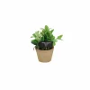 Kunstplant Munt H20cm
