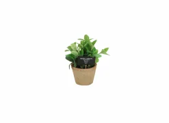 Kunstplant Munt H20cm