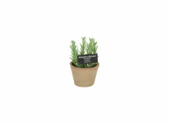 Kunstplant Rozemarijn H18cm