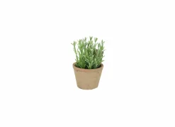 Kunstplant Rozemarijn H18cm