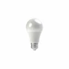 Ledlamp Classic 14,5W E27