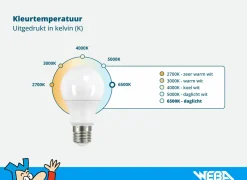 Ledlamp 24W T8/G13