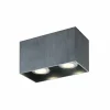 Opbouwspot met 2 spots 2x50W GU10