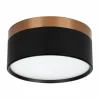 Opbouwspot 24W Ø15,8cm - aluminium - zwart & brons