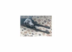 Plaid Dierenpootjes 100x150cm - microvezel - bruin & beige