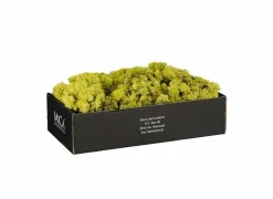 Rendiermos  500g - kunststof - lichtgroen