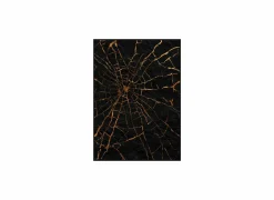 Schilderij Spiderweb 100x140cm