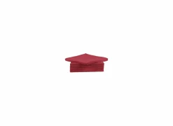 Serviette CT Prof 38x38cm rood, 40 stuks