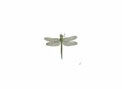 Serviette Libellule 33x33cm groen 20 stuks