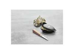 Set Oestermes roestvrij staal/kunststof - zwart set van 2