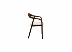 Stoel Donna 56,5x53x79,4cm - beuk massief & polyestervezel - walnoot