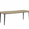 Tafel Brisk 220x100cm - teak massief & aluminium  - naturel