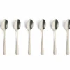 Theelepel Vintage set van 6