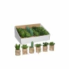 Vetplant H12cm