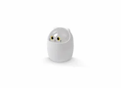 Vuilbak Desktop kat wit